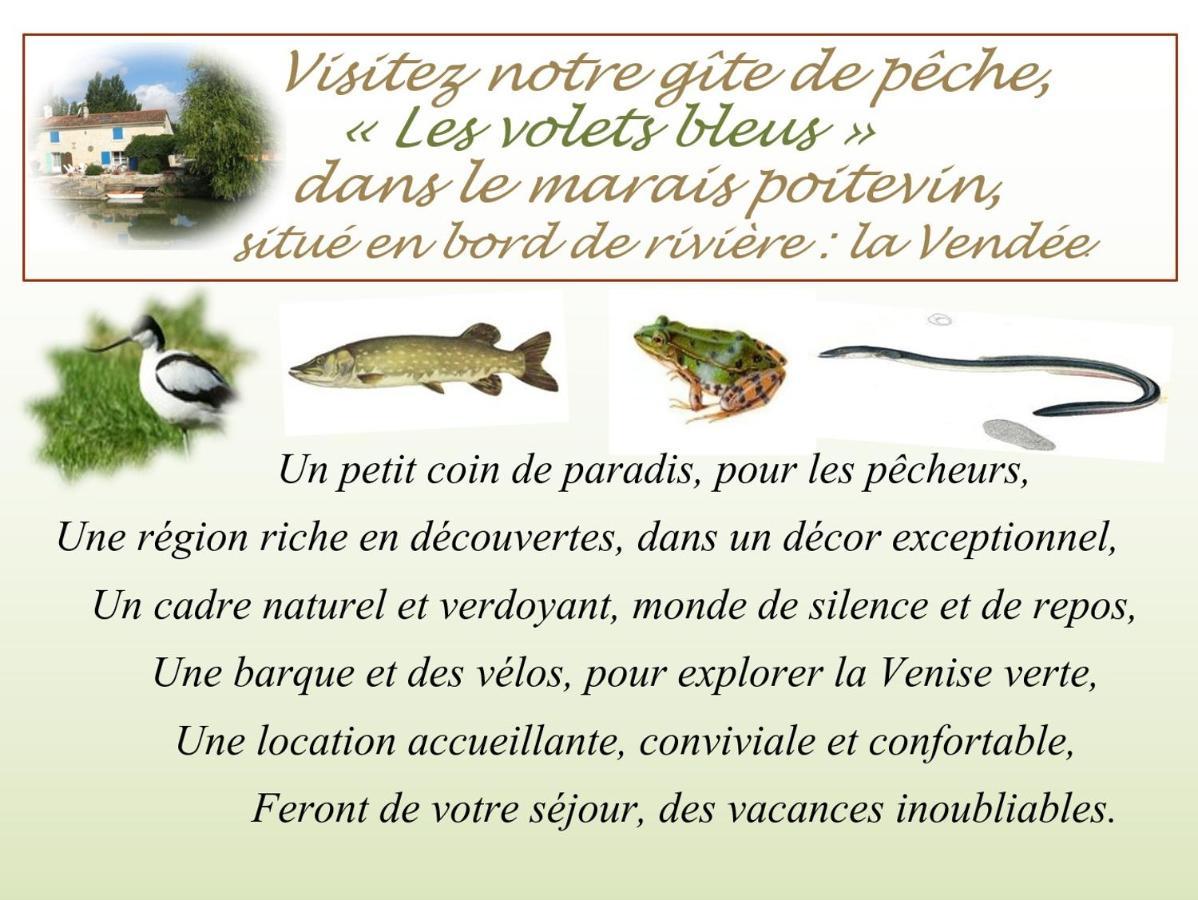 Marais Poitevin Bord Riviere Peche ,Barque, Velos, Wifi, Linge, Cheminee, Cuisine, Terrain De Boules La Taillee Exteriér fotografie