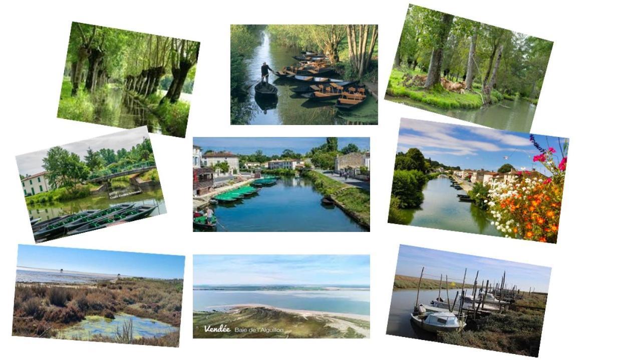 Marais Poitevin Bord Riviere Peche ,Barque, Velos, Wifi, Linge, Cheminee, Cuisine, Terrain De Boules La Taillee Exteriér fotografie